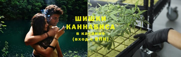 прущие грибы Армянск