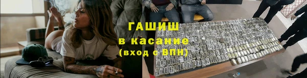 прущие грибы Армянск