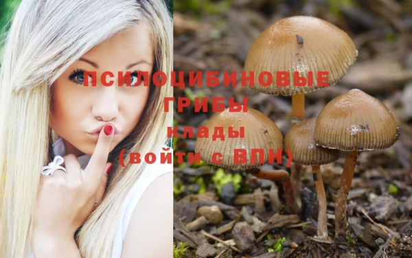 spice Арсеньев