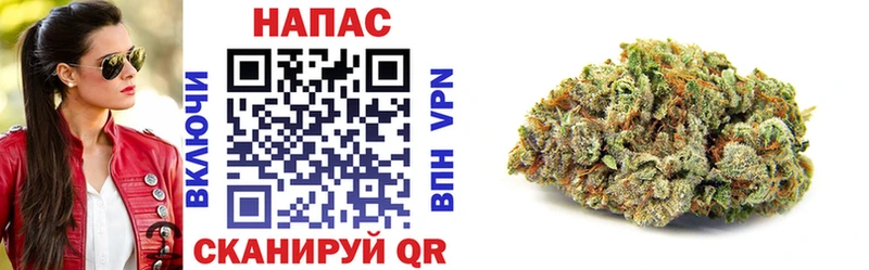 где купить   Белокуриха  Бошки марихуана план 